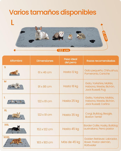 Feandrea Alfombras Lavables para Perros, Alfombras Absorbentes Reutilizables, 122 x 61 cm, Juego de 2, L, para Gatos, Conejos, Gris MPTD024G01