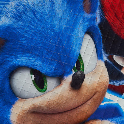 Edrecolcha Matrimonial Sonic Team