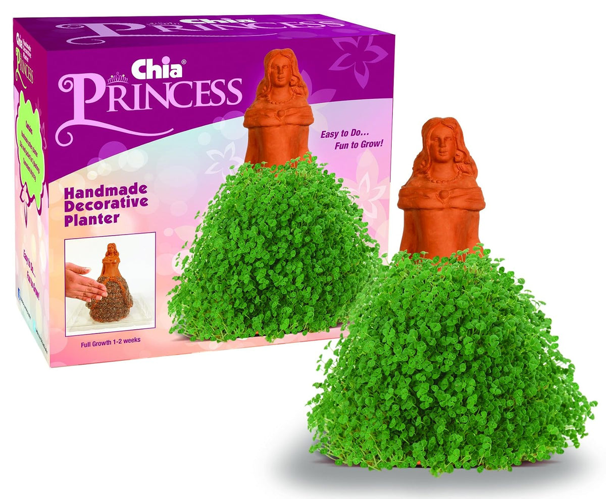 Chia Pet Maceta Decorativa de Cerámica con Semillas de Chía - Princesa