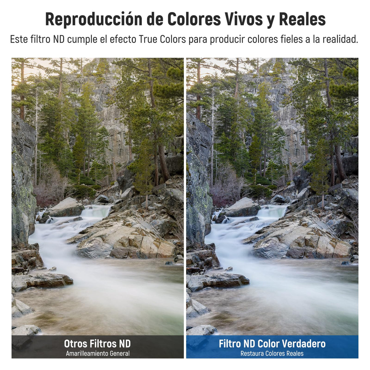 NEEWER 67mm True Colors Filtro ND Variable ND2-ND32 y CPL, 2 en 1 Ajustable Filtro Polarizador Circular y de Densidad Neutra, Marco de Aluminio/Vidrio Óptico HD con Revestimiento Múltiple Accesorios