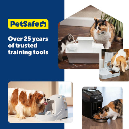 PetSafe Drinkwell Dog and Cat Water Fountain Cleaning Kit - Includes 3 Brushes to Fit Most Pet Fountains - Durable, Rust-Resistant Material