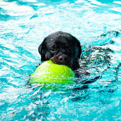 Jolly Pets - Pelota de fútbol Flotante de 20 cm de diámetro, Color Verde Manzana