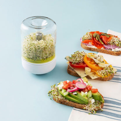 Chef'n Kit de Cultivo de brotes de encimera, Talla única, Blanco para Hornear, Wasabi/Vidrio