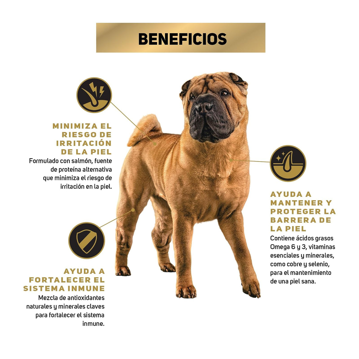 Purina Pro Plan Adulto Todos los Tamaños Sensitive & Skin Sabor Salmón 15Kg
