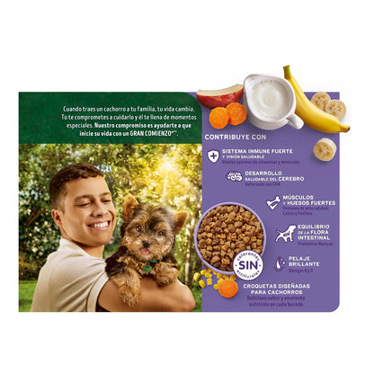 Dog Chow Purina Comida para Perro Cachorro Minis y Pequeños con Extralife 4 Kg