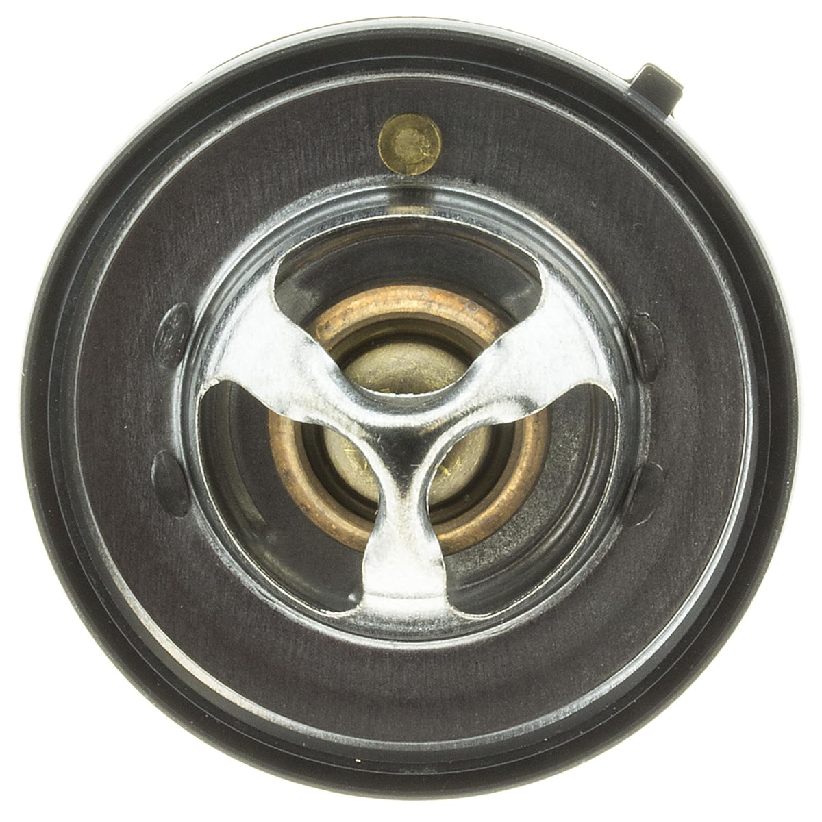 MotoRad Termostato 420-195
