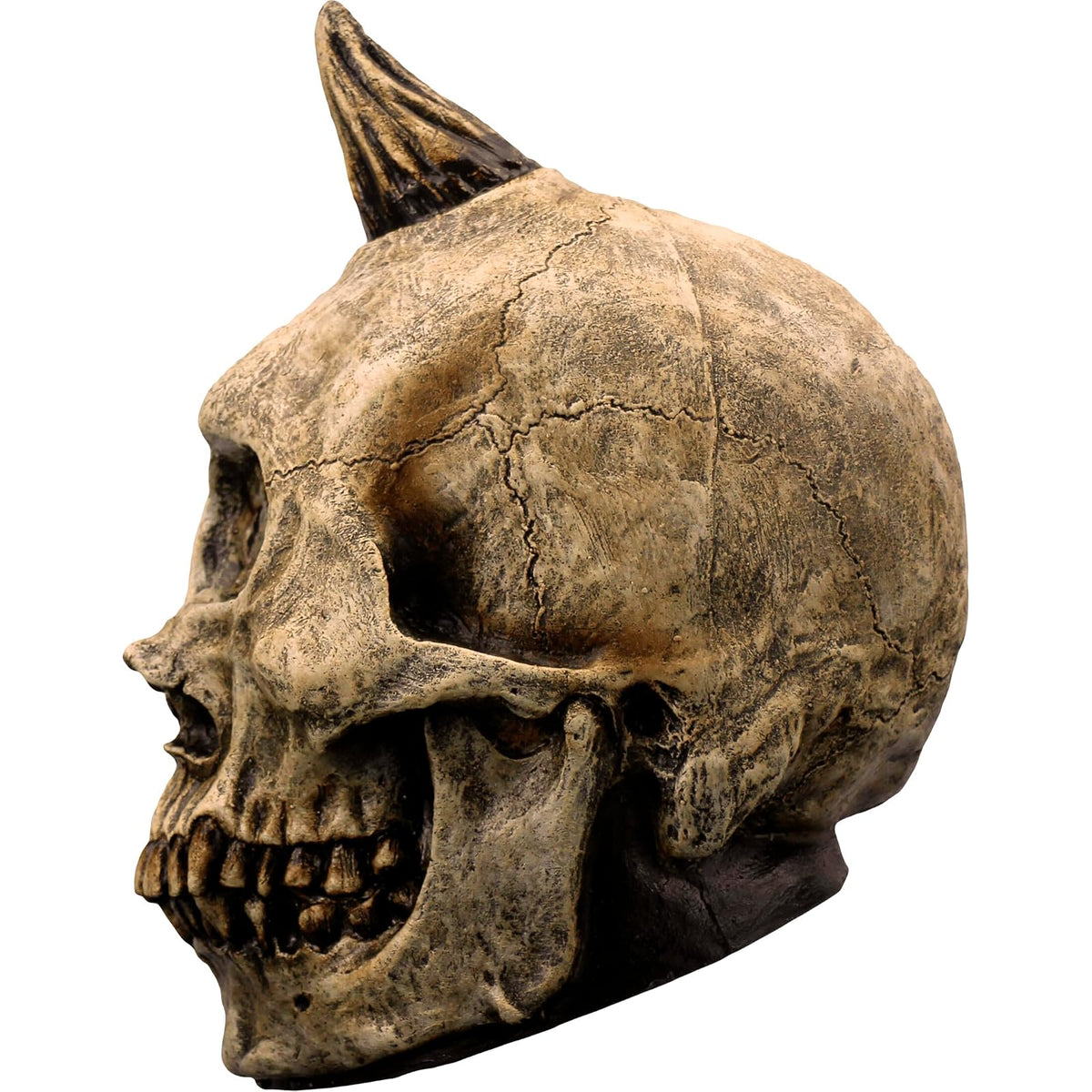 Ghoulish Productions Skull Cyclops Prop, Artículo Decorativo de Esqueleto de Cyclope, Adorno para Decoración de Halloween de Craneo de Monstruo Ideal para Casa de Terror