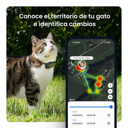 Tractive - Rastreador GPS y monitoreo de Salud para Gatos (6 Libras +) - Rastreador de ubicación GPS para Mascotas líder en el Mercado | Alertas de Bienestar y Escape, Impermeable, Funciona con