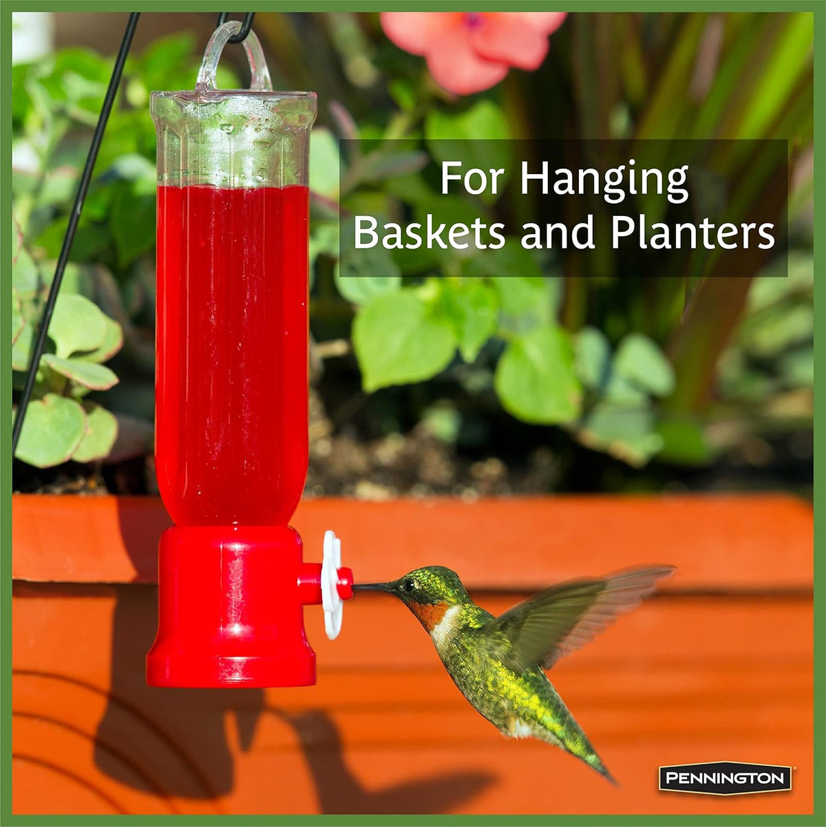 Pennington 100504340 - Macetero para colibríes, Color Rojo