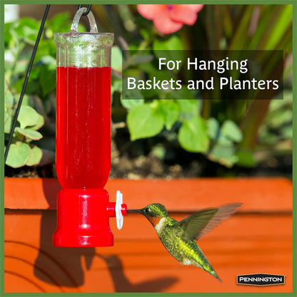 Pennington 100504340 - Macetero para colibríes, Color Rojo