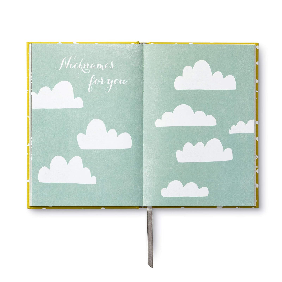 Expecting You: A Keepsake Pregnancy Journal
