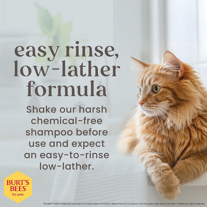 Burt's Bees for Kittens Champú Sin Lágrimas SC04472 | 10 oz, 1 paquete, con suero de leche, sin fragancia