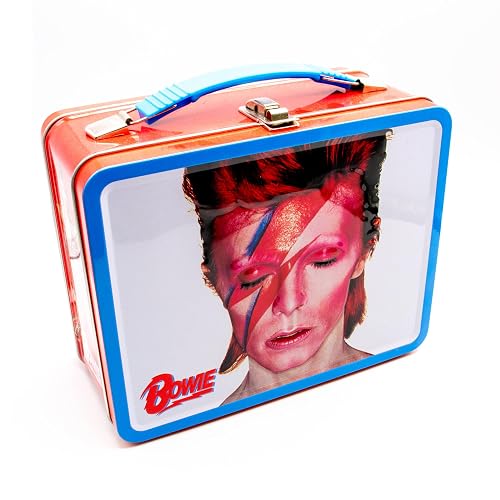 AQUARIUS David Bowie Aladdin Sane Fun Box - Caja de almacenamiento resistente con mango de plástico y cubierta frontal en relieve, producto oficial y regalo coleccionable
