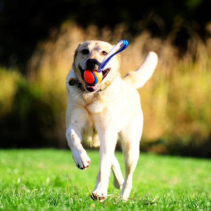 Chuckit! Medium Ultra Tug