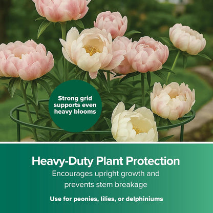 Gardman R754 Grow Through Hoops con 3 Patas, 16 Pulgadas de Ancho x 62 Pulgadas de Alto.