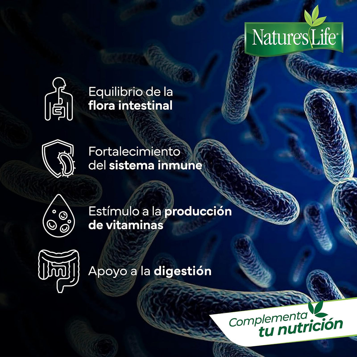 Nature's Life - Probióticos y Prebióticos Vitamina C y Arándano 30 Cápsulas | 415 millones UFC, Lactobacillus acidophilus, inulina, avena sativa, sin conservadores ni azúcar añadida, 1 cápsula al día