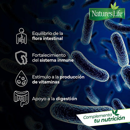 Nature's Life - Probióticos y Prebióticos Vitamina C y Arándano 30 Cápsulas | 415 millones UFC, Lactobacillus acidophilus, inulina, avena sativa, sin conservadores ni azúcar añadida, 1 cápsula al día