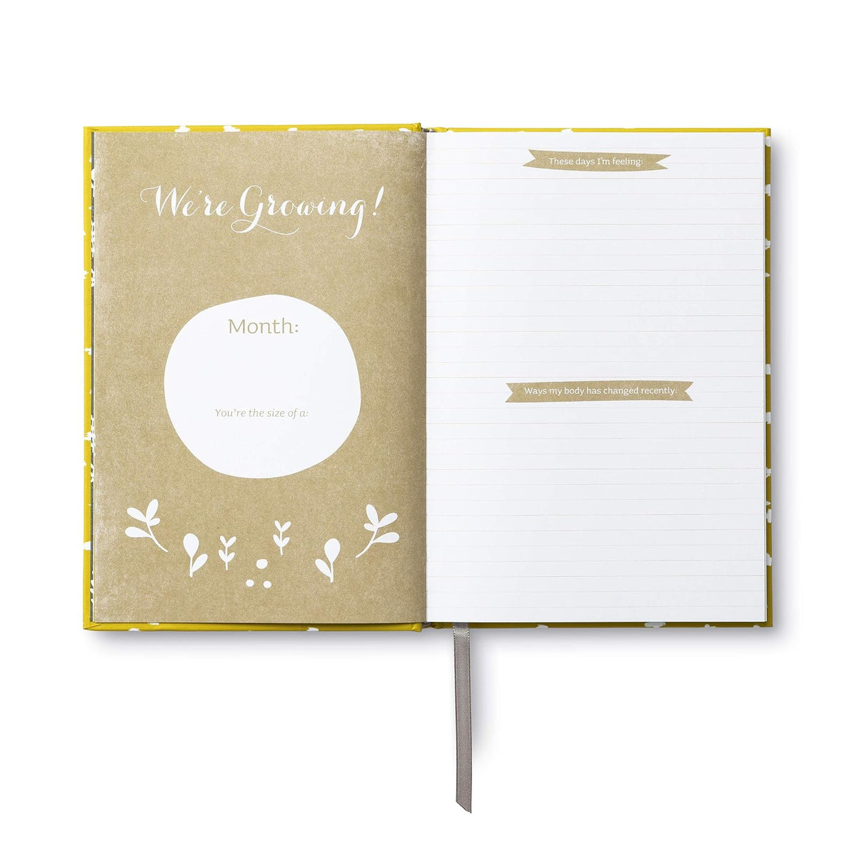 Expecting You: A Keepsake Pregnancy Journal