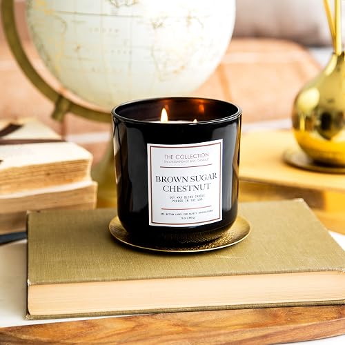Chesapeake Bay Candle Core Collection - Vela aromática de dos mechas, cachemira Pl, Castaño Azúcar café, Two-Wick Scented Candle, 1