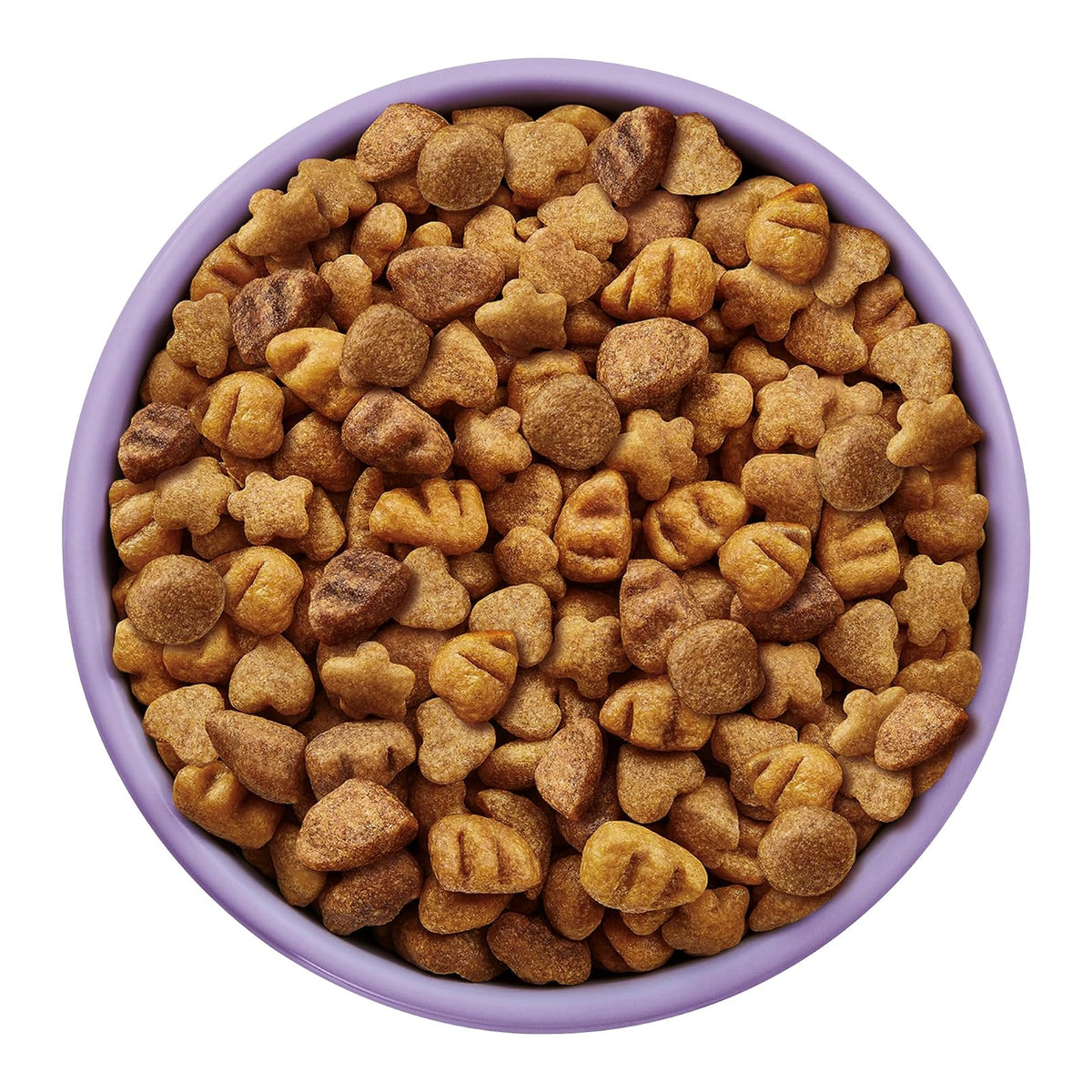 Dog Chow Purina Comida para Perro Cachorro Minis y Pequeños con Extralife 4 Kg