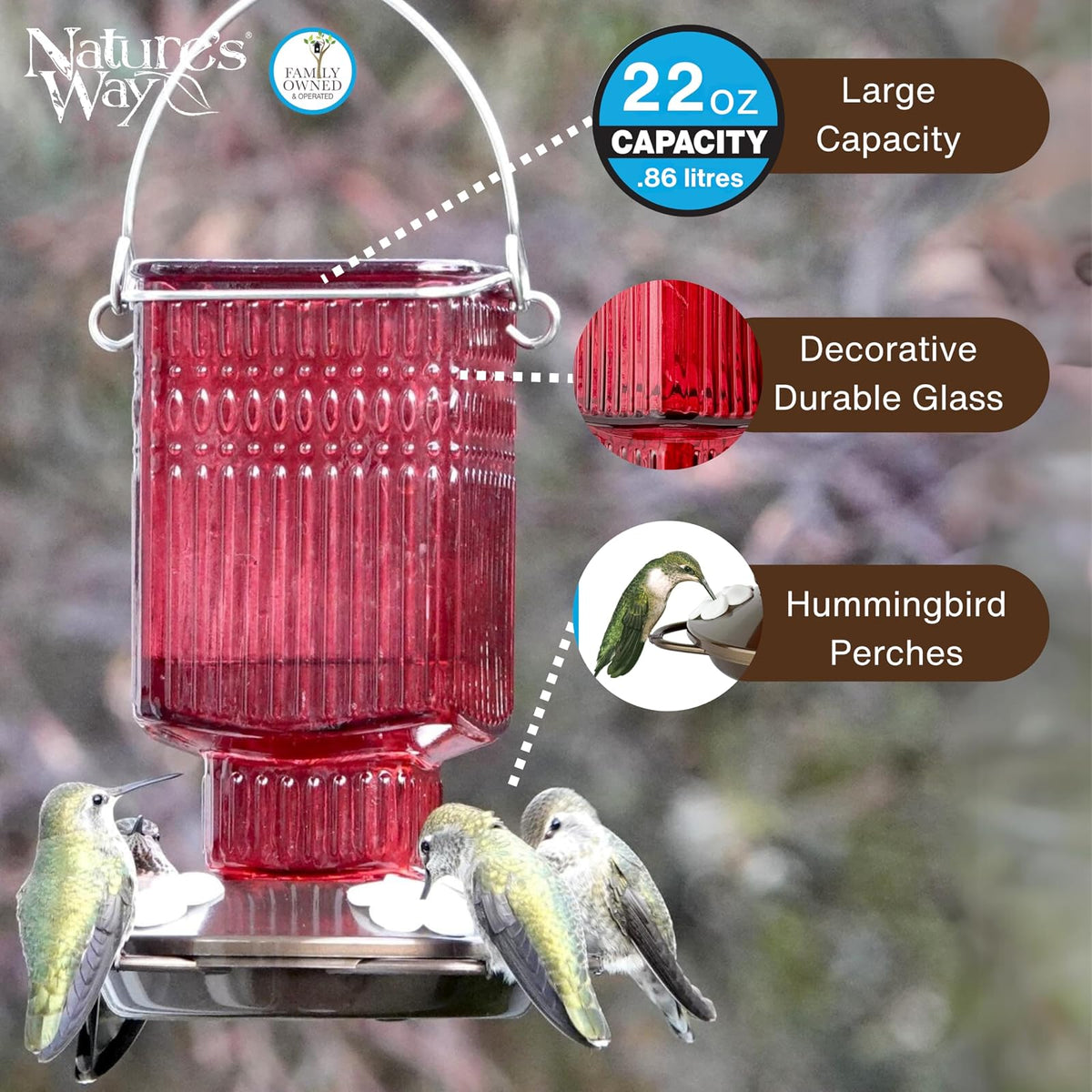 Nature's Way - Alimentador de colibrí de Vidrio Colgante para decoración al Aire última intervensión, 22 onzas de Capacidad, 4 Puertos Flexibles fáciles de Limpiar, Color Rojo