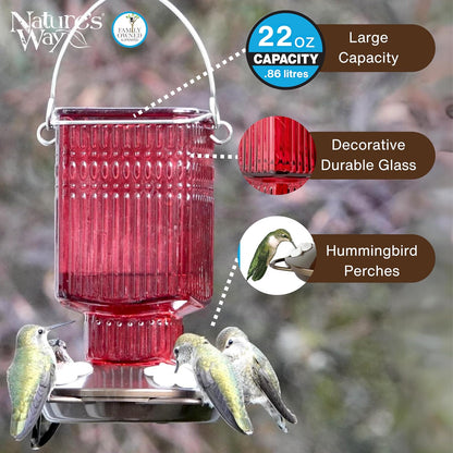 Nature's Way - Alimentador de colibrí de Vidrio Colgante para decoración al Aire última intervensión, 22 onzas de Capacidad, 4 Puertos Flexibles fáciles de Limpiar, Color Rojo