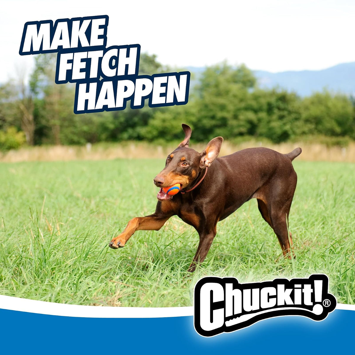 Chuckit! DO817030 Pelota Ultra, talla grande, 1 Pieza, Colores Surtidos