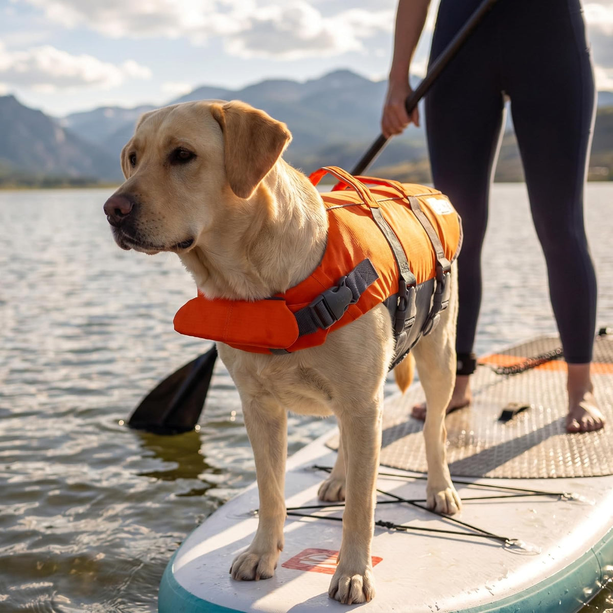 Chamarra salvavidas para perro, Outward Hound Granby Splash, Anaranjado, Large