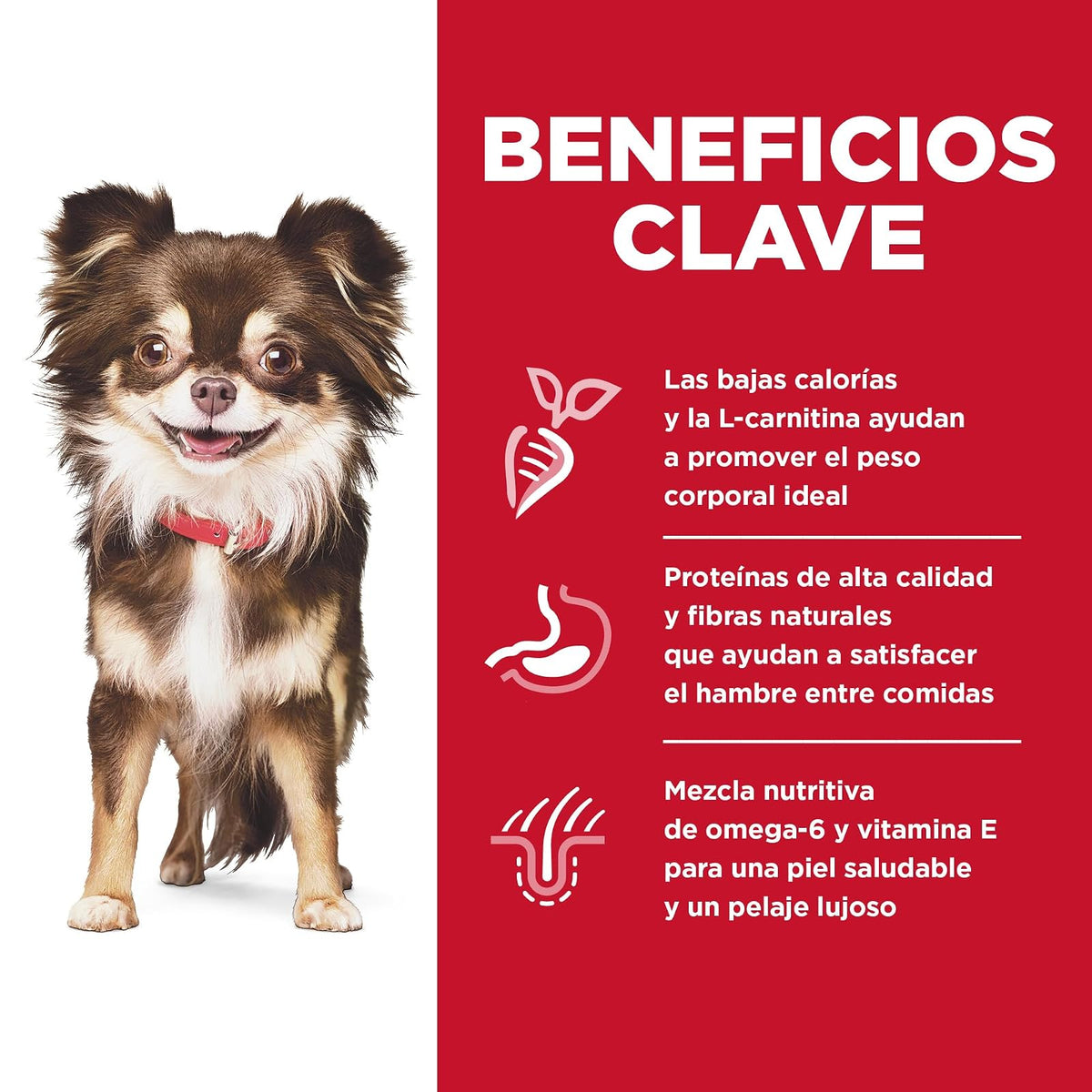 Hill's Science Diet Small Mini Croquetas para Perro Piel Sensible 6.8Kg | Croquetas Hill's para perro, pollo real, razas pequeñas, piel y estómago sensible, alta digestibilidad, barrera cutánea sana