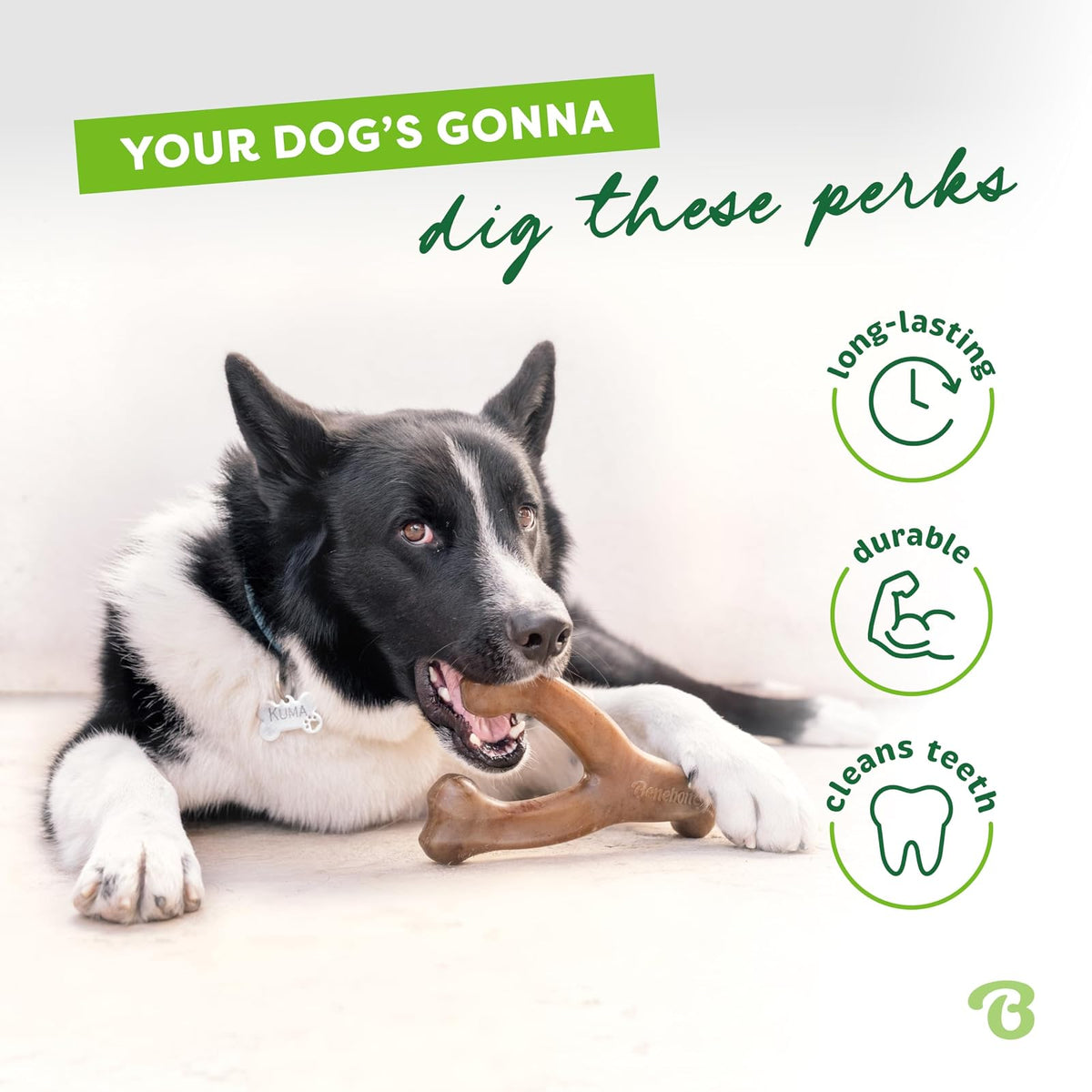 Benebone Wishbone Juguete masticable Duradero para Perros para masticadores agresivos, maní Real, Fabricado en Estados Unidos, Gigante