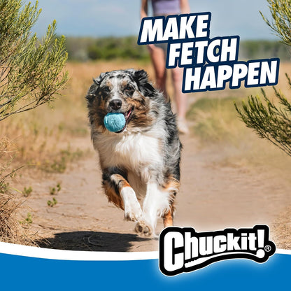 Chuckit! Bola de Rebote Mediana de 2.5 Pulgadas, Paquete de 2, Azules y morados (20320)