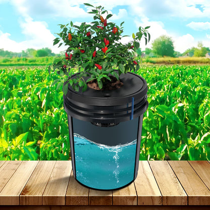 VEVOR DWC Sistema hidropónico, 5 galones y 8 Cubos, cubeta de Cultivo de Agua Profunda, Kit de Cultivo hidropónico con Bomba, Piedra de Aire y Dispositivo de Nivel de Agua, para Verduras de Hoja y