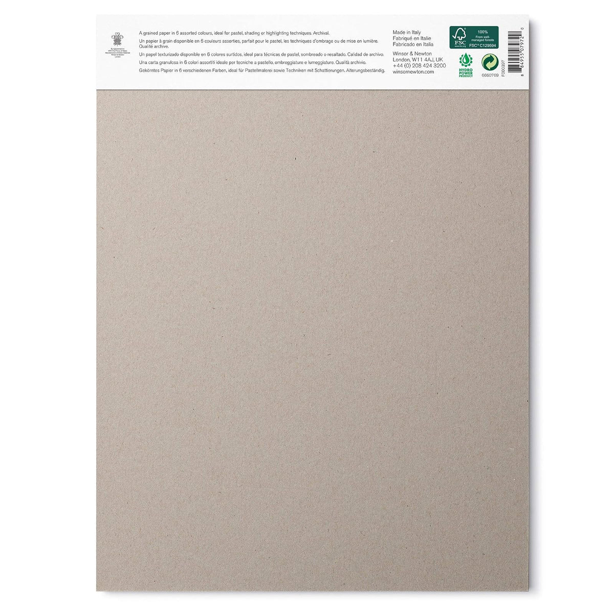 Winsor & Newton Professional Pastel Paper Pad, 9 x 12 pulgadas, 24 hojas, 160 g/m², colores de la tierra