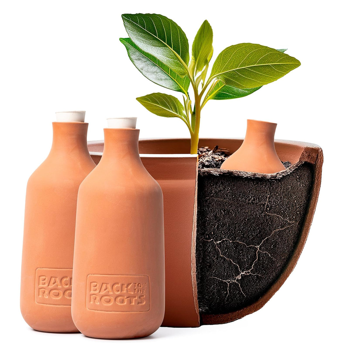 Back to the Roots Olla de Terracota autonegable (Paquete de 3), 700 ml Proporciona 1 Semana de riego de precisión