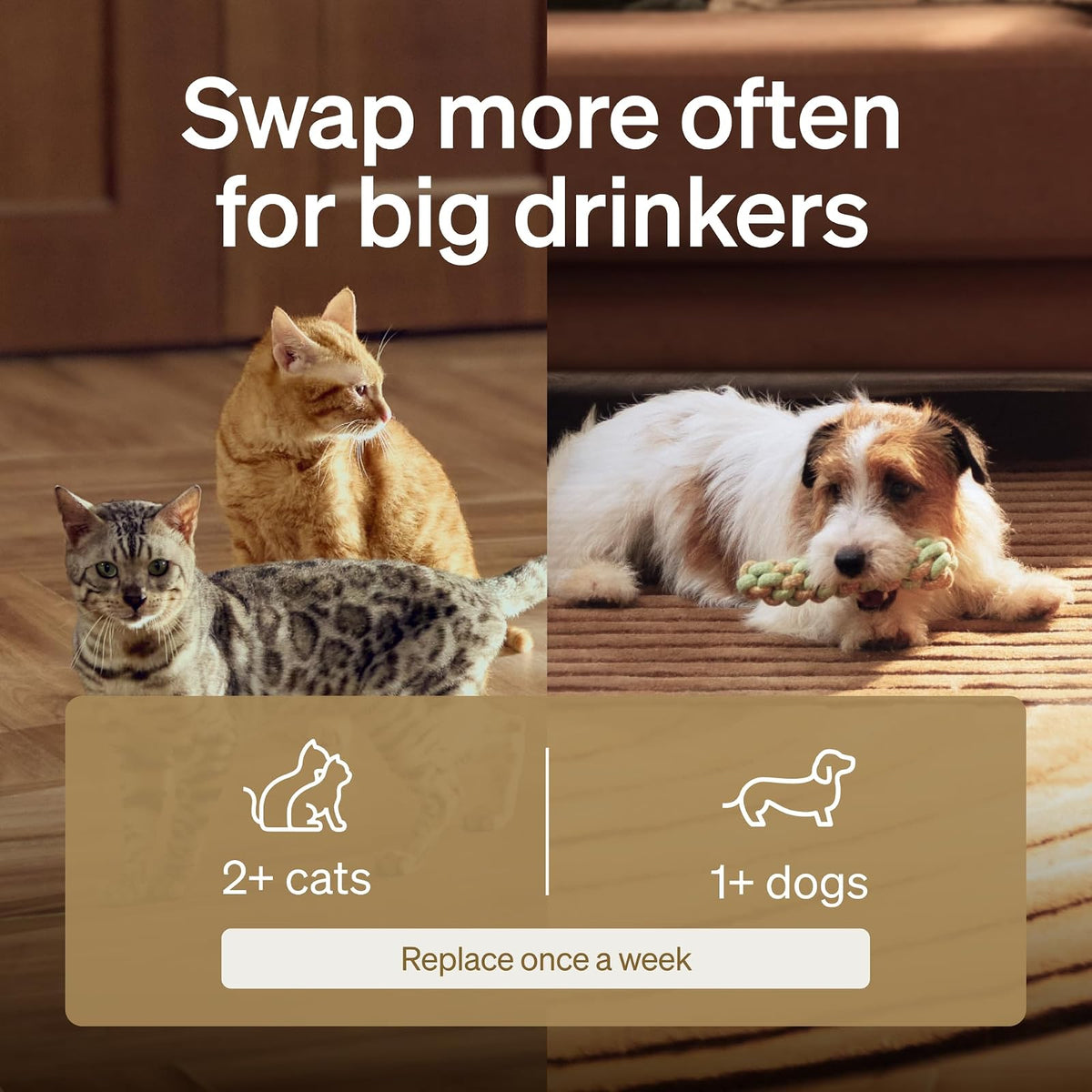 PETLIBRO Paquete de 8 filtros de repuesto para fuente de agua Dockstream PLWF005/PLWF115, juego de filtros de repuesto para fuente de agua ultra silenciosa para mascotas (8 paquetes)