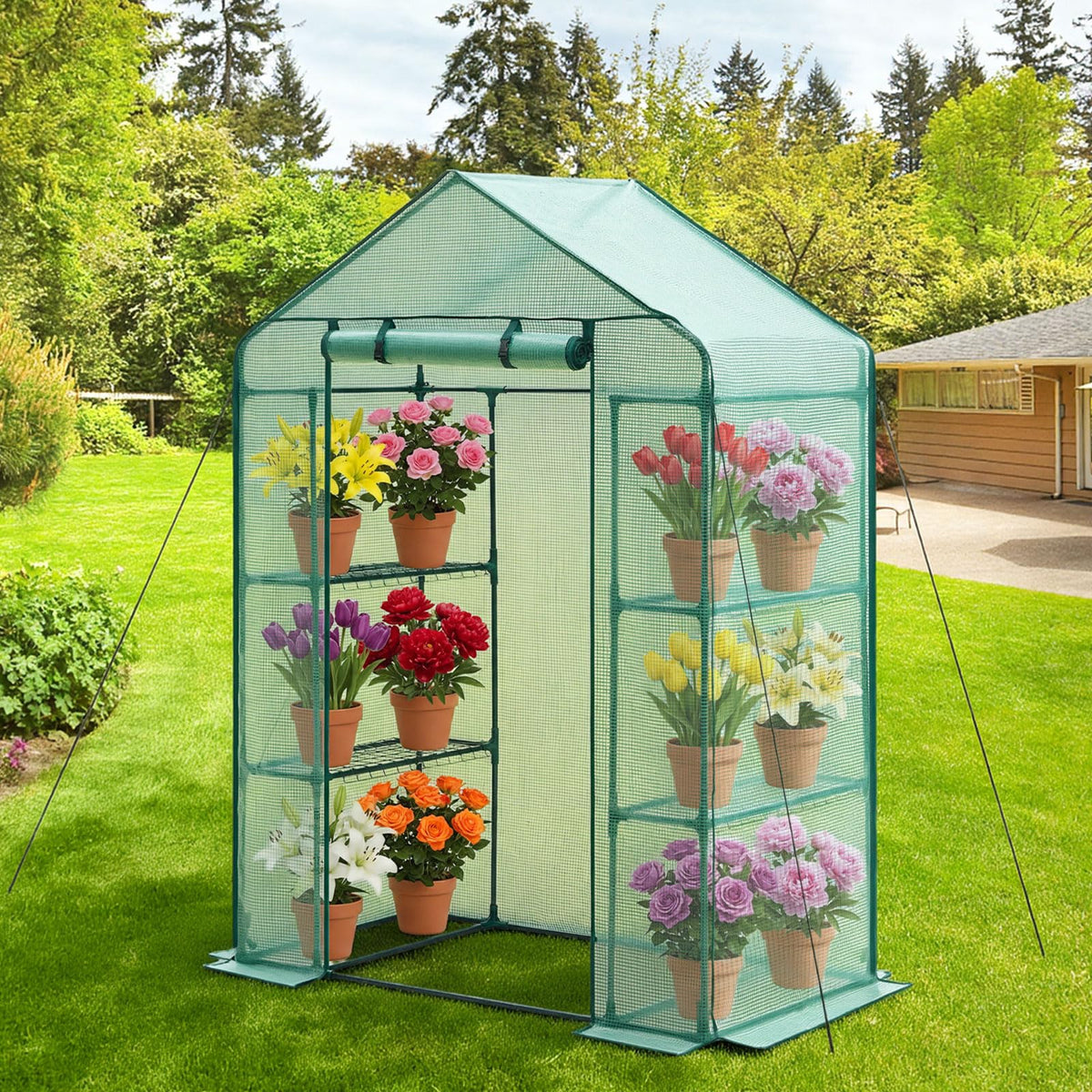 VEVOR - Casa Verde sin Caminar, 55 x 29.3 x 81.5 Pulgadas, Invernadero portátil con estantes, Cubierta de Polietileno de Alta Resistencia con Puerta Enrollable y Marco de Acero, para Plantar y