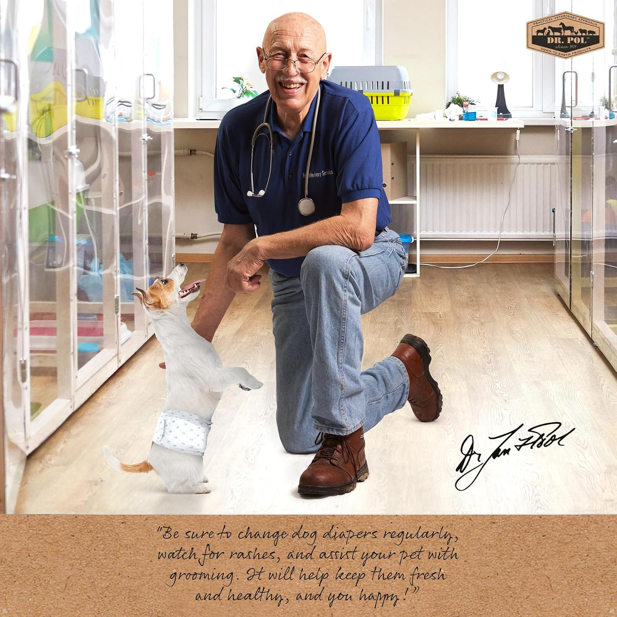 Dr. Pol - Pañales para Perros Macho, superabsorbentes, Transpirables, a Prueba de Fugas con indicador de Humedad, Mediano, 50 Unidades