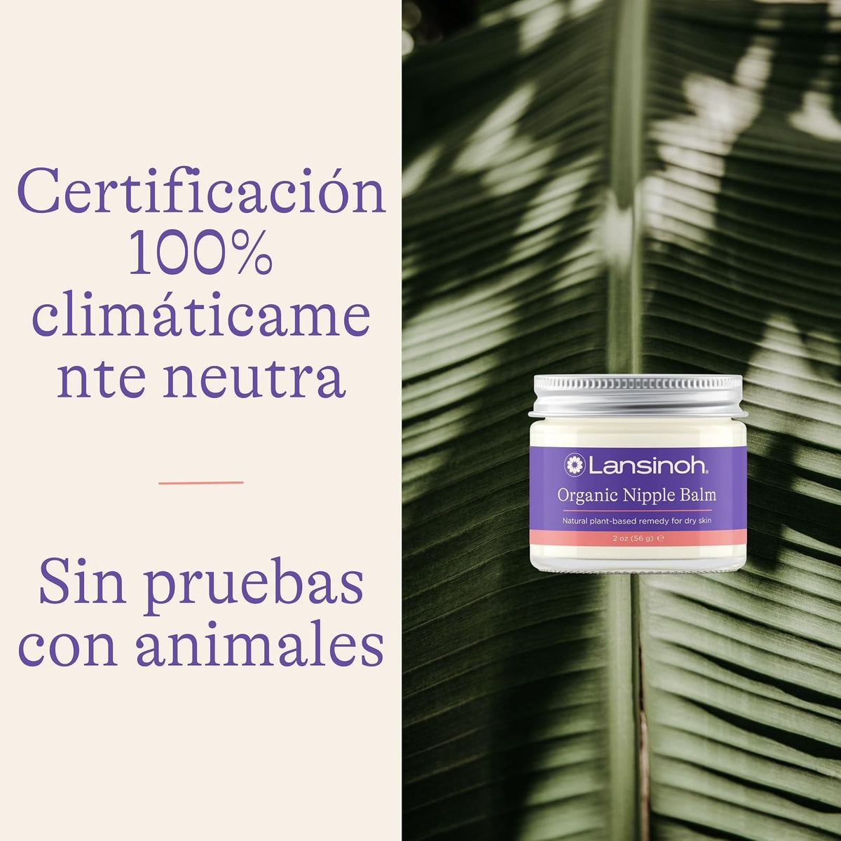 Lansinoh Bálsamo orgánico para los pezones, Calma y Protege Pezones Agrietados y con Dolor, Blanco