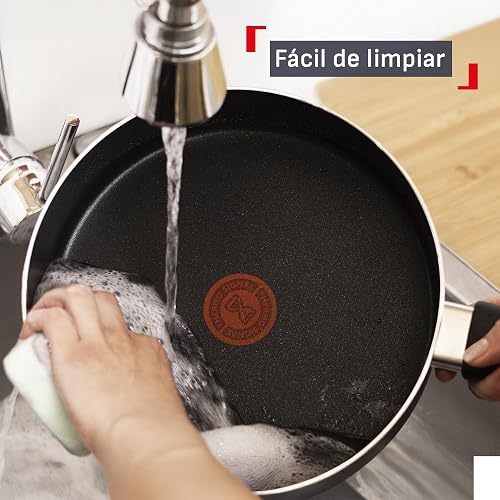 T-fal Cacerola con Tapa 24 cm Everyday, con Antiadherente resistente Titanium, Limpieza Fácil, Libre de PFOA, con Termo Señal para una cocción optima, B4693284EVE