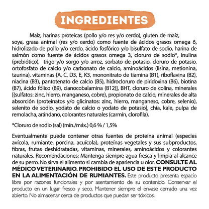 Purina Beneful Adulto Todos los tamaños Salud Radiante Sabor Salmón 10Kg