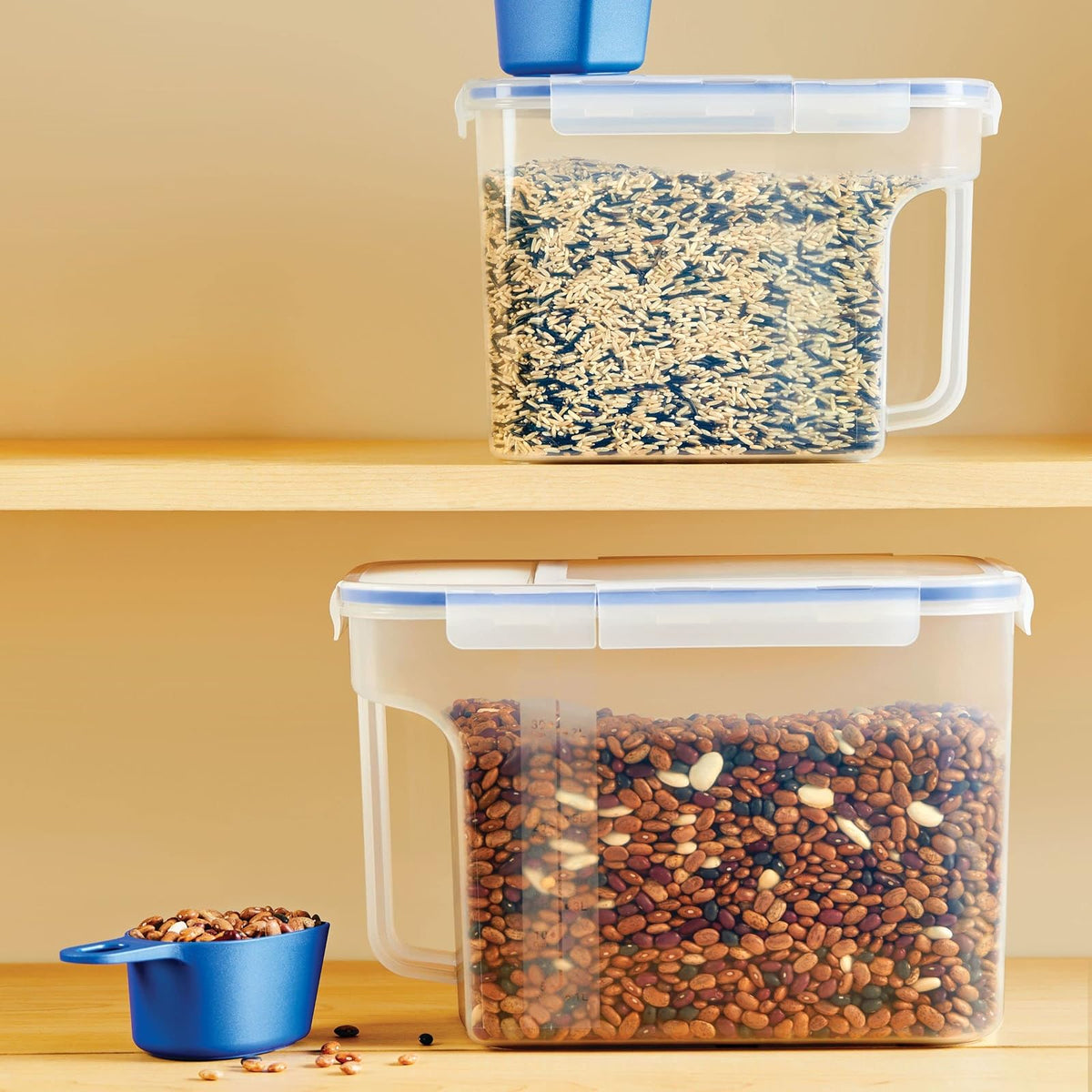 LocknLock Easy Essentials - Juego de contenedores y cubos de almacenamiento de alimentos, sin BPA, apto para lavaplatos, 4 piezas, transparente