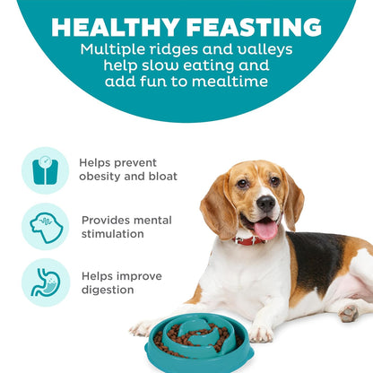 Outward Hound Fun Feeder Slo Bowl, Slow Feeder Dog Bowl, Medium, Turquoise