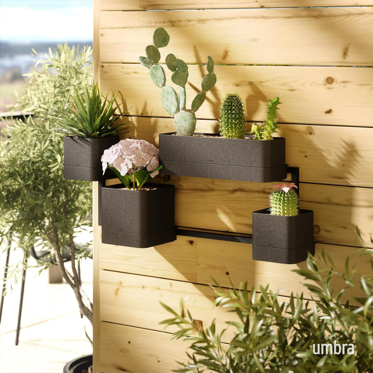 Umbra Cubiko - Maceta de Pared, Color Negro