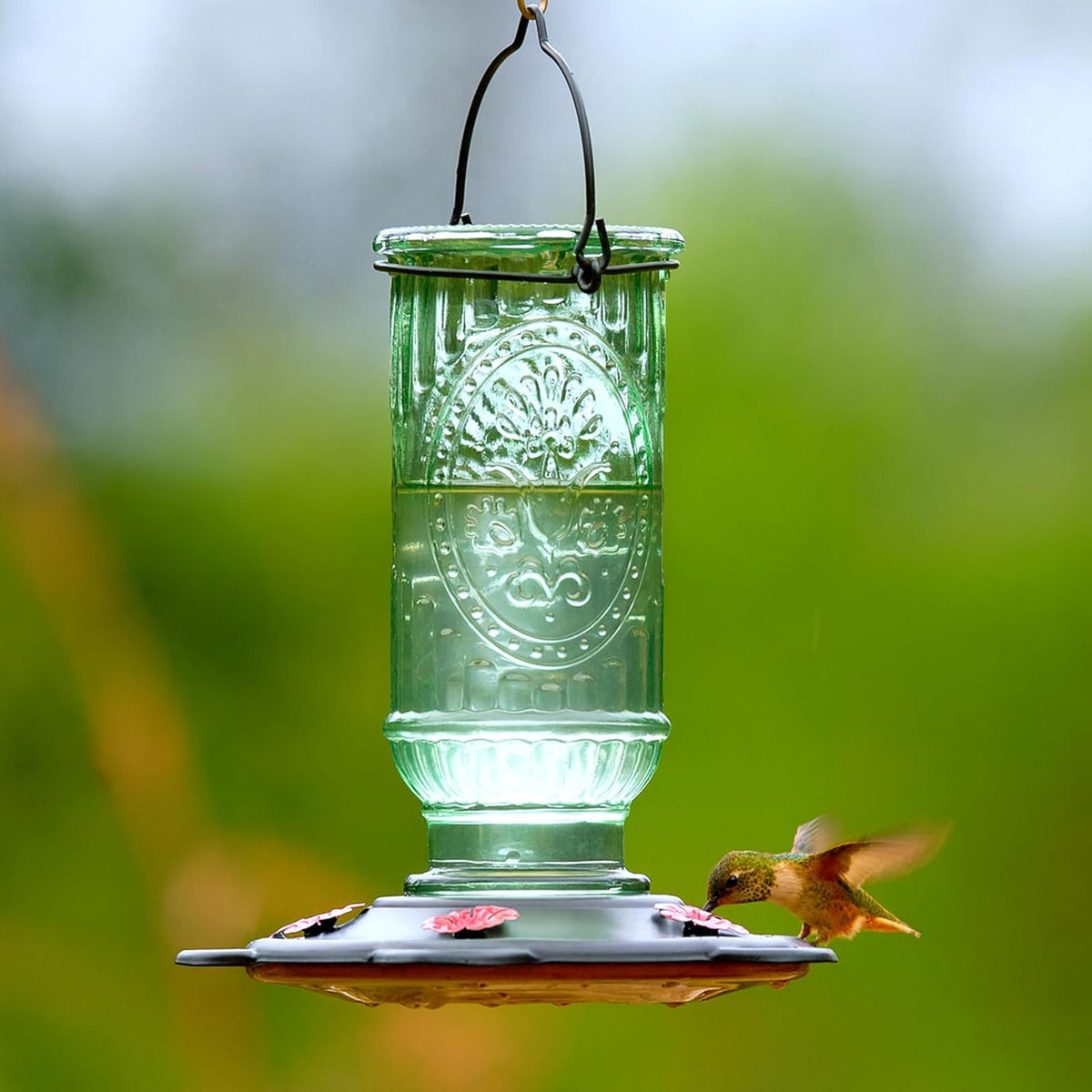More Birds - Comedero de colibríes clásico, comederos de colibríes de Vidrio Antiguo para Exteriores, 5 Estaciones de alimentación, 20 onzas