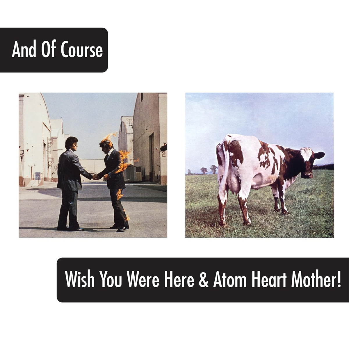 ICUP Pink Floyd - Cubiertas para álbum de 4 piezas, vidrio de pinta, grande, multicolor