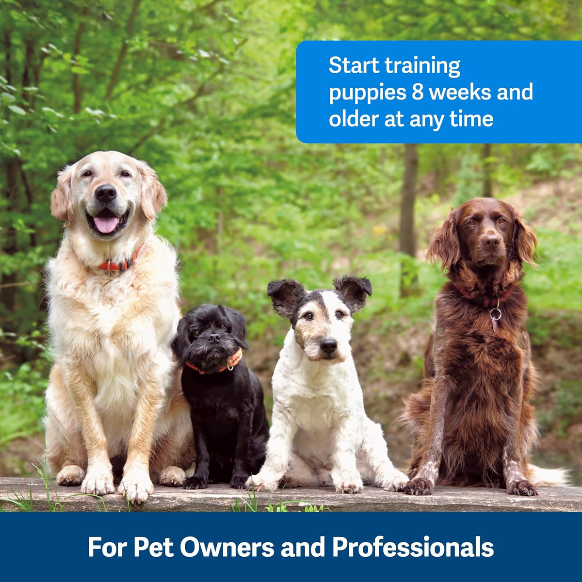 PetSafe Clik-R Dog Training Clicker - Positive Behavior Reinforcer for Pets - All Ages, Puppy and Adult Dogs - Use to Reward and Train - Training Guide Included - Purple