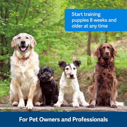 PetSafe Clik-R Dog Training Clicker - Positive Behavior Reinforcer for Pets - All Ages, Puppy and Adult Dogs - Use to Reward and Train - Training Guide Included - Purple