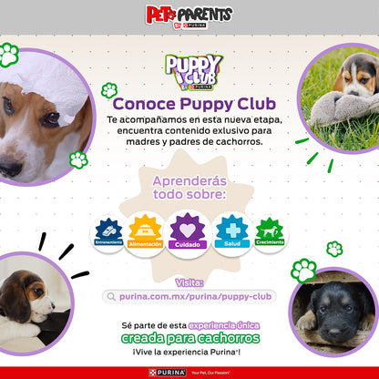 Dog Chow Purina Comida para Perro Cachorro Minis y Pequeños con Extralife 4 Kg
