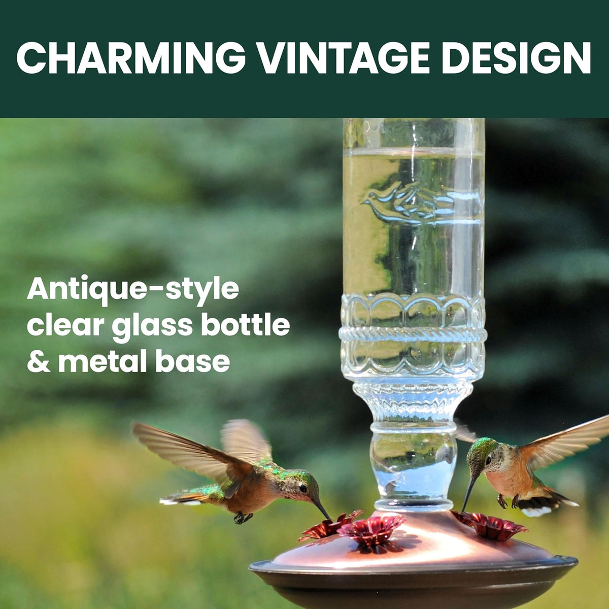 Perky-Pet 8107-2 Antique Bottle 10-Ounce Glass Hummingbird Feeder, Clear