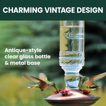 Perky-Pet 8107-2 Antique Bottle 10-Ounce Glass Hummingbird Feeder, Clear
